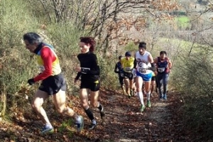 Cross 2014-2015 (12)