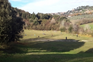 Cross 2014-2015 (96)