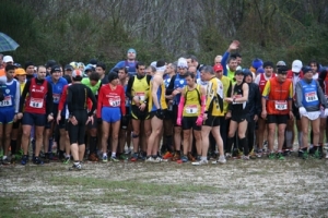 corss-2014_img_9444