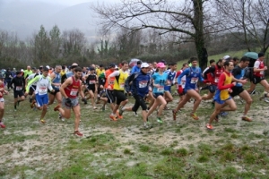corss-2014_img_9447