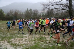 corss-2014_img_9448