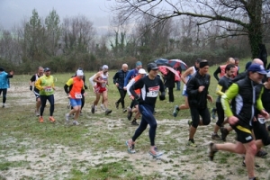 corss-2014_img_9449