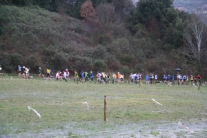 corss-2014_img_9455