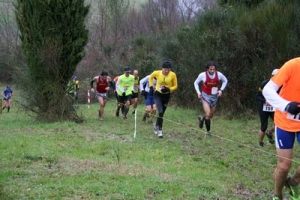 corss-2014_img_9490