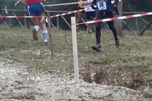 Cross 2016-2017 (31)