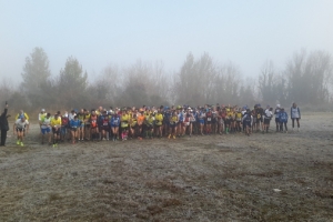 Cross 2015-2016 (2)