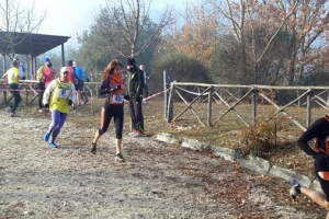 Cross 2015-2016 (49)