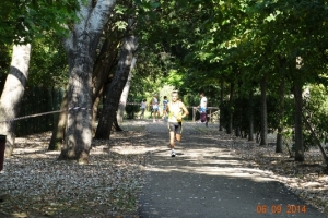 Maratona a staffetta 2014 (24)