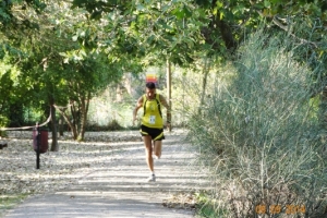 Maratona a staffetta 2014 (60)