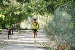 Maratona a staffetta 2014 (60)