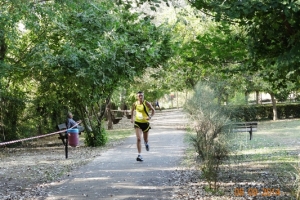 Maratona a staffetta 2014 (61)