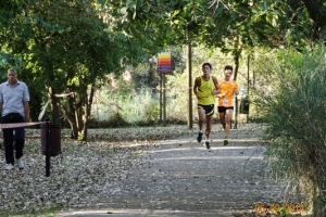 Maratona a staffetta 2014 (80)